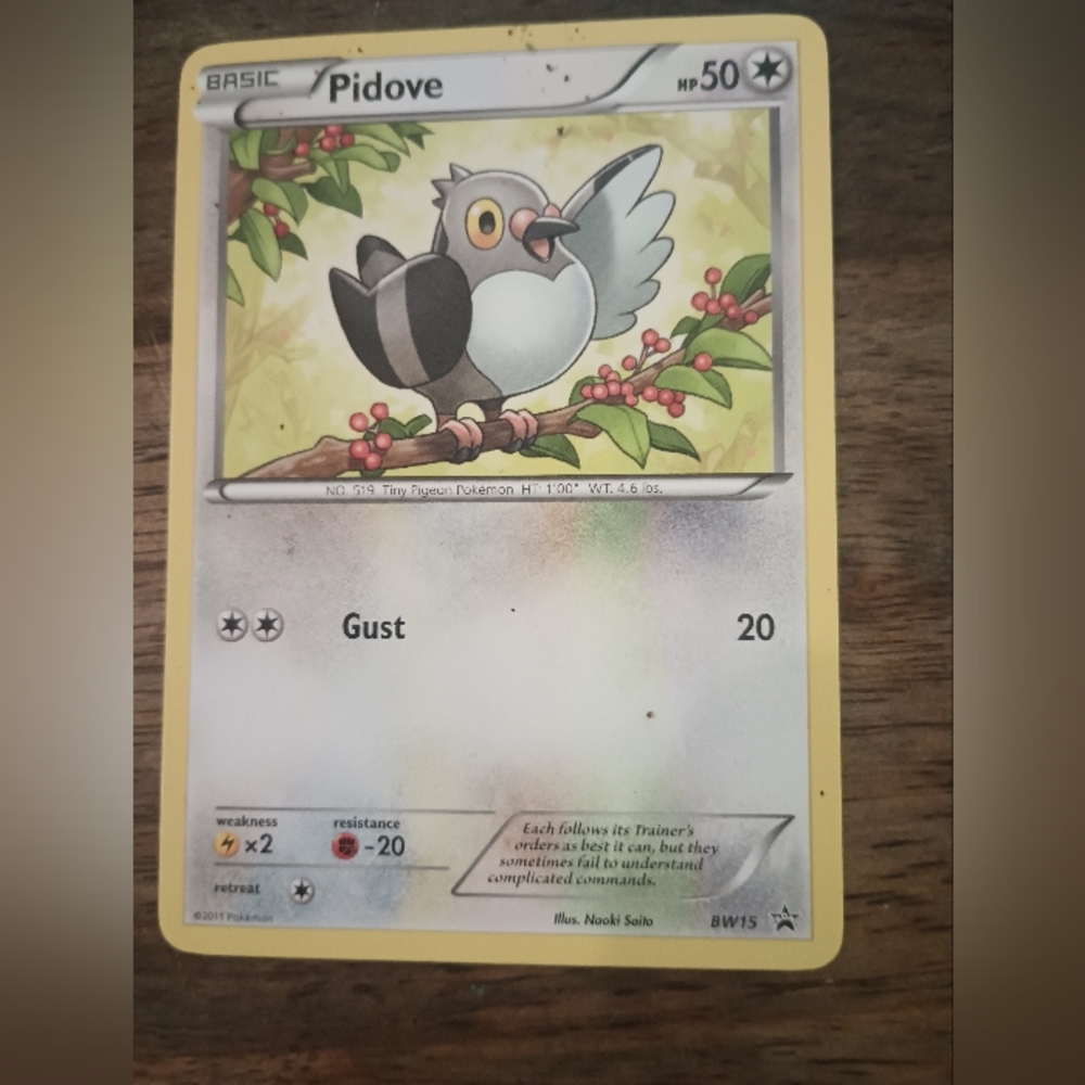 Pidove Pokémon Card
